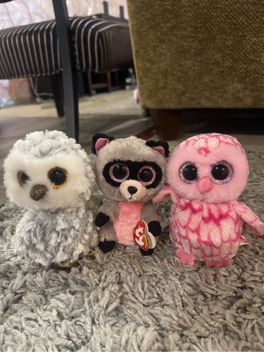 Ty Beanie Boos Trio: Pink Owl, Gray Owl & Raccoon Plush Set
